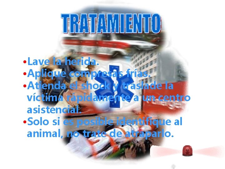  • Lave la herida. • Aplique compresas frías. • Atienda el shock y