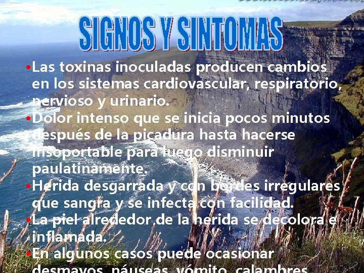  • Las toxinas inoculadas producen cambios en los sistemas cardiovascular, respiratorio, nervioso y