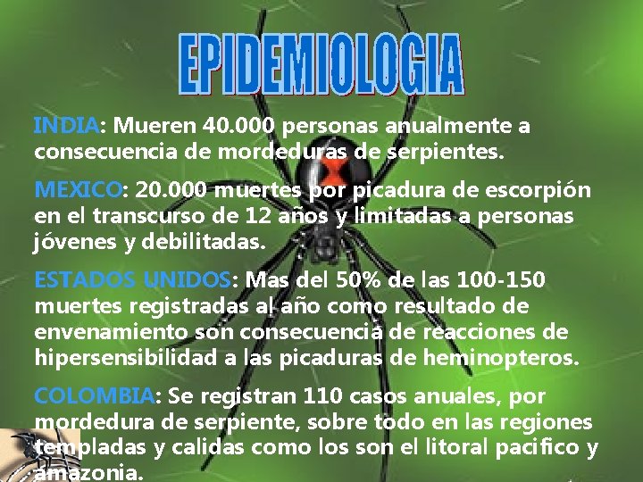 INDIA: Mueren 40. 000 personas anualmente a consecuencia de mordeduras de serpientes. MEXICO: 20.