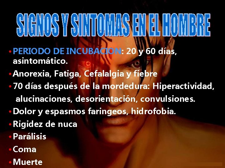  • PERIODO DE INCUBACION: 20 y 60 días, asintomático. • Anorexia, Fatiga, Cefalalgia