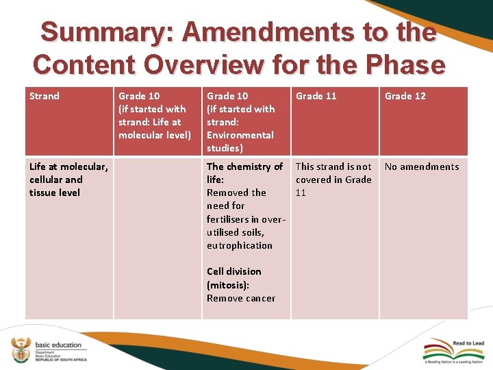 Summary: Amendments to the Content Overview for the Phase Strand Life at molecular, cellular