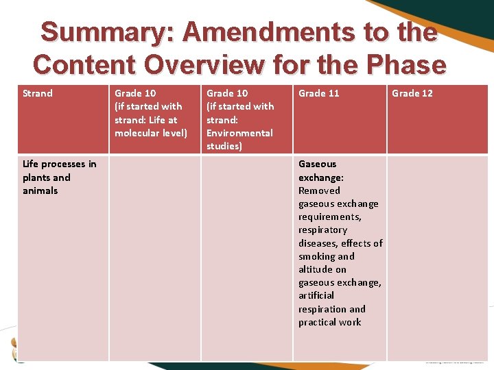 Summary: Amendments to the Content Overview for the Phase Strand Life processes in plants