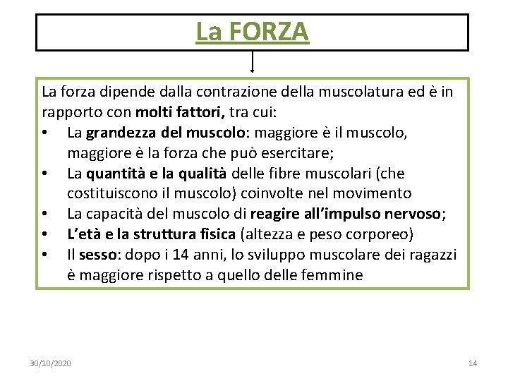La FORZA La forza dipende dalla contrazione della muscolatura ed è in rapporto con