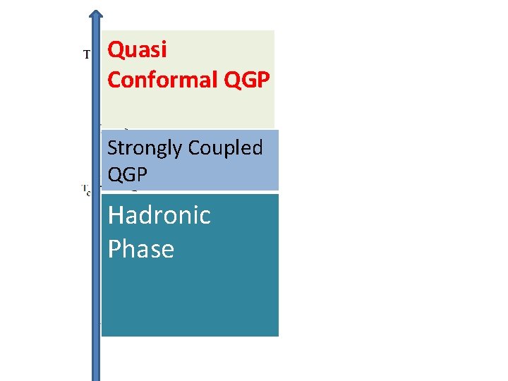 Quasi Conformal QGP Strongly Coupled QGP Hadronic Phase 