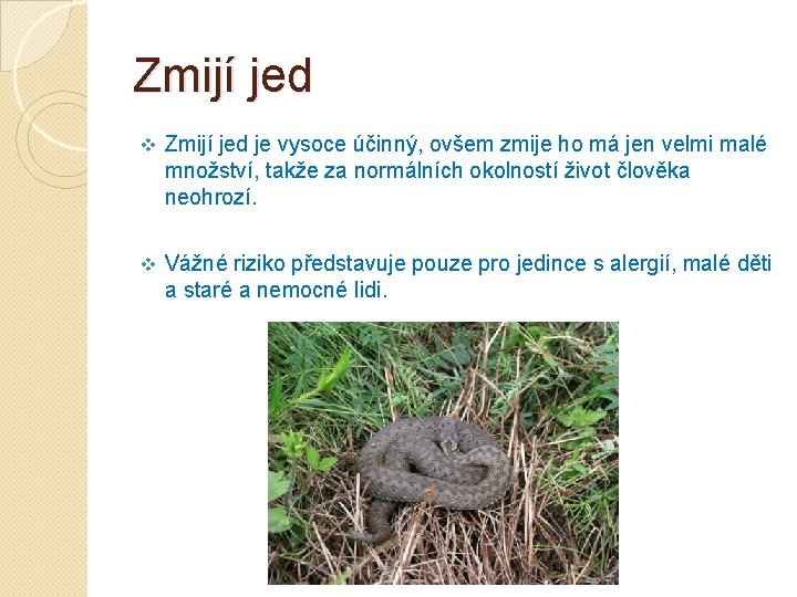 Zmijí jed v Zmijí jed je vysoce účinný, ovšem zmije ho má jen velmi