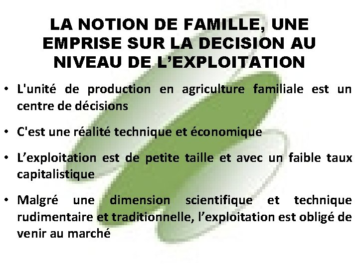 LA NOTION DE FAMILLE, UNE EMPRISE SUR LA DECISION AU NIVEAU DE L’EXPLOITATION •