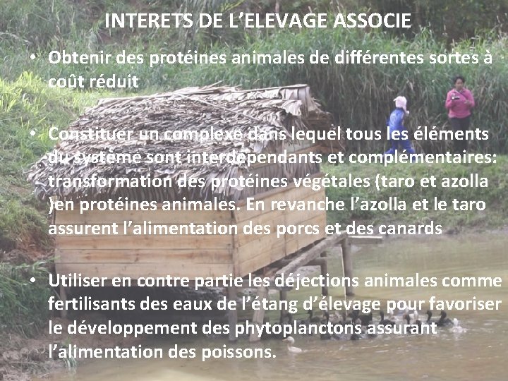 INTERETS DE L’ELEVAGE ASSOCIE • Obtenir des protéines animales de différentes sortes à coût