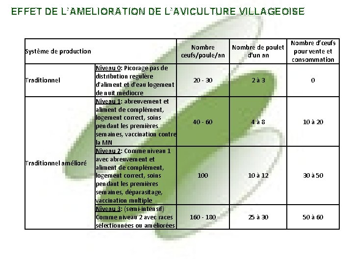 EFFET DE L’AMELIORATION DE L’AVICULTURE VILLAGEOISE Système de production Traditionnel amélioré Niveau 0: Picorage