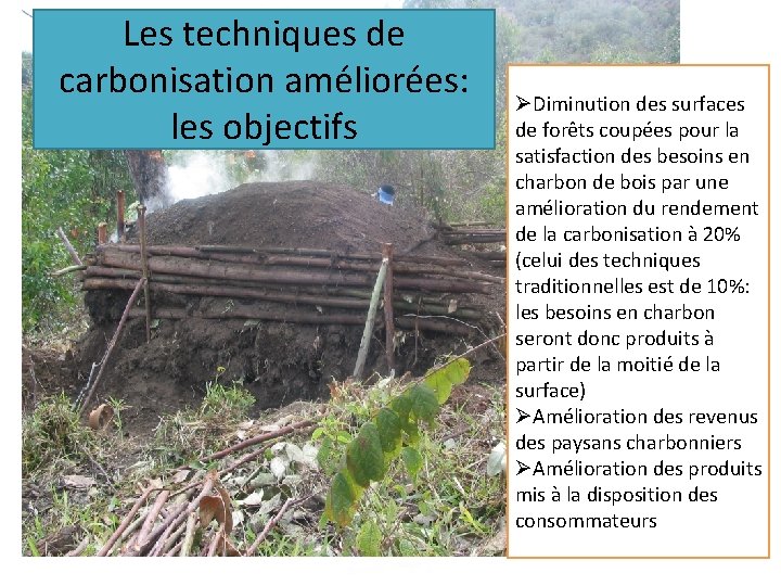 Les techniques de carbonisation améliorées: les objectifs ØDiminution des surfaces de forêts coupées pour