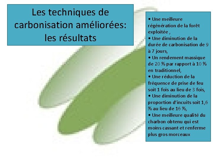 Les techniques de carbonisation améliorées: les résultats • Une meilleure régénération de la forêt