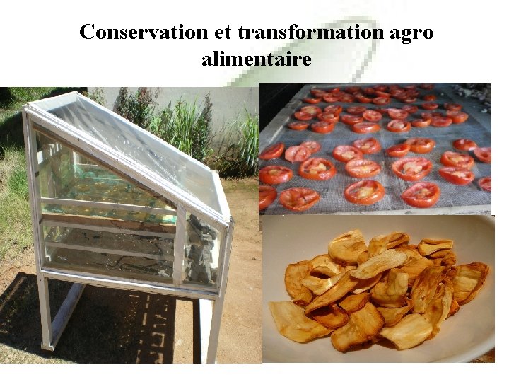 Conservation et transformation agro alimentaire 