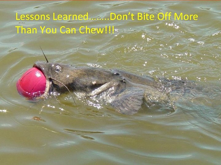 Lessons Learned……. . Don’t Bite Off More Than You Can Chew!!! 