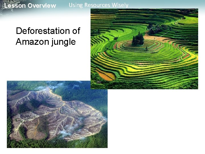 Lesson Overview Using Resources Wisely Deforestation of Amazon jungle 
