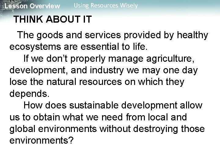 Lesson Overview Using Resources Wisely THINK ABOUT IT The goods and services provided by