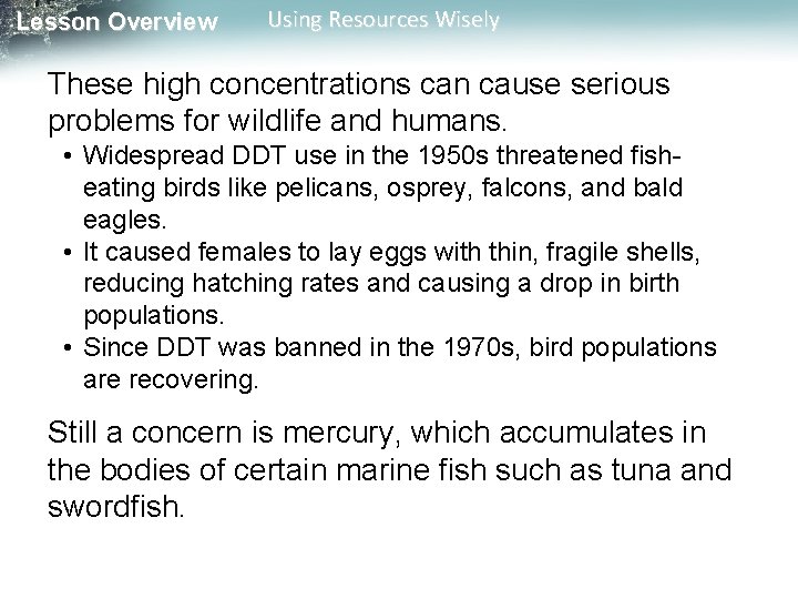 Lesson Overview Using Resources Wisely These high concentrations can cause serious problems for wildlife