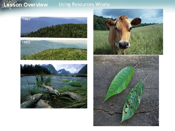 Lesson Overview Using Resources Wisely 