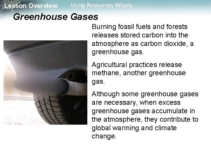 Lesson Overview Using Resources Wisely Greenhouse Gases Burning fossil fuels and forests releases stored