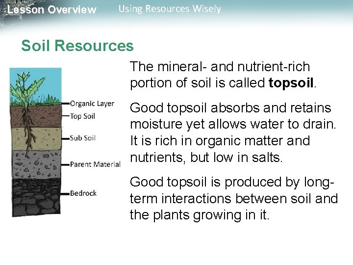 Lesson Overview Using Resources Wisely Soil Resources The mineral- and nutrient-rich portion of soil