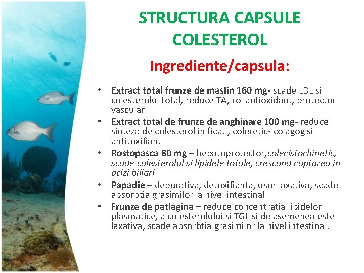 STRUCTURA CAPSULE COLESTEROL Ingrediente/capsula: • Extract total frunze de maslin 160 mg- scade LDL