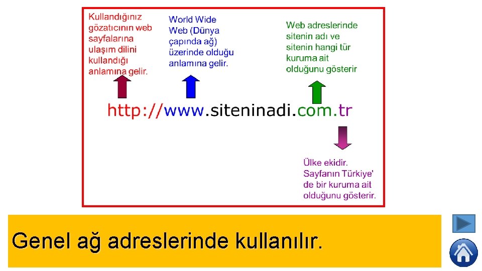 Genel ağ adreslerinde kullanılır. 