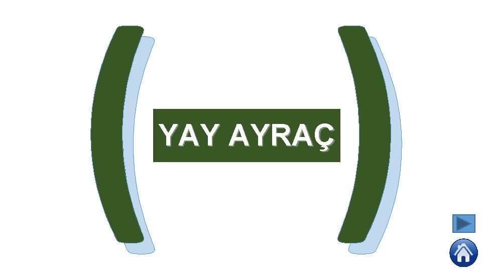 ( ) YAY AYRAÇ 