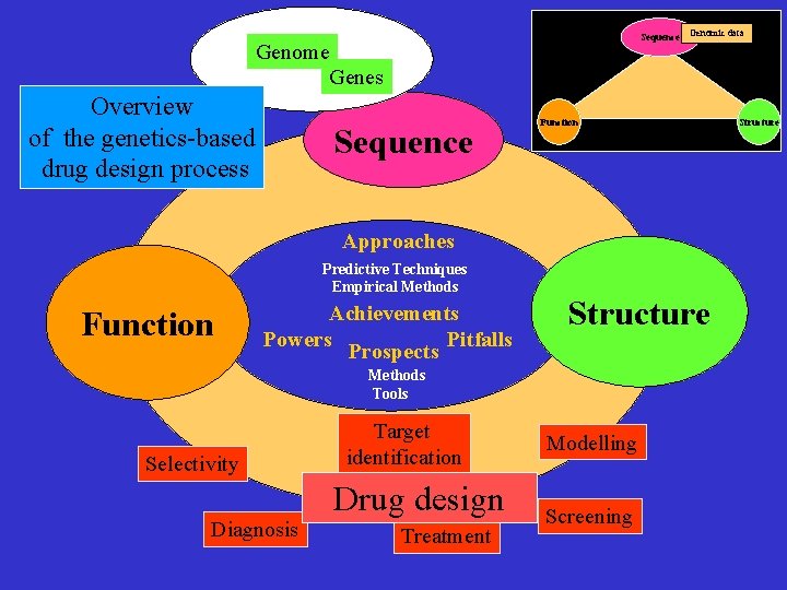 Sequence Genomic data Genome Genes Overview of the genetics-based drug design process Sequence Function