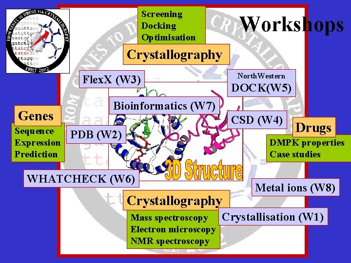 Screening Docking Optimisation Workshops Crystallography North. Western Flex. X (W 3) Genes Sequence Expression