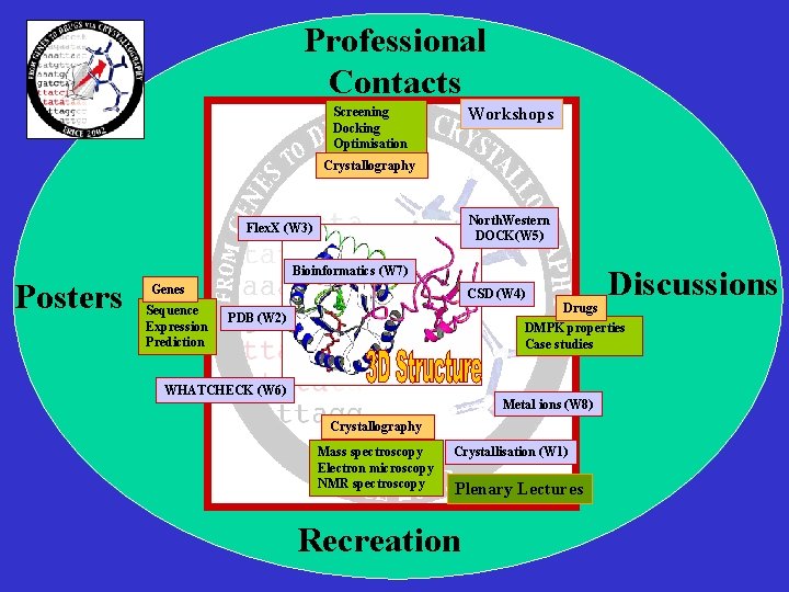 Professional Contacts Workshops Screening Docking Optimisation Crystallography North. Western DOCK(W 5) Flex. X (W