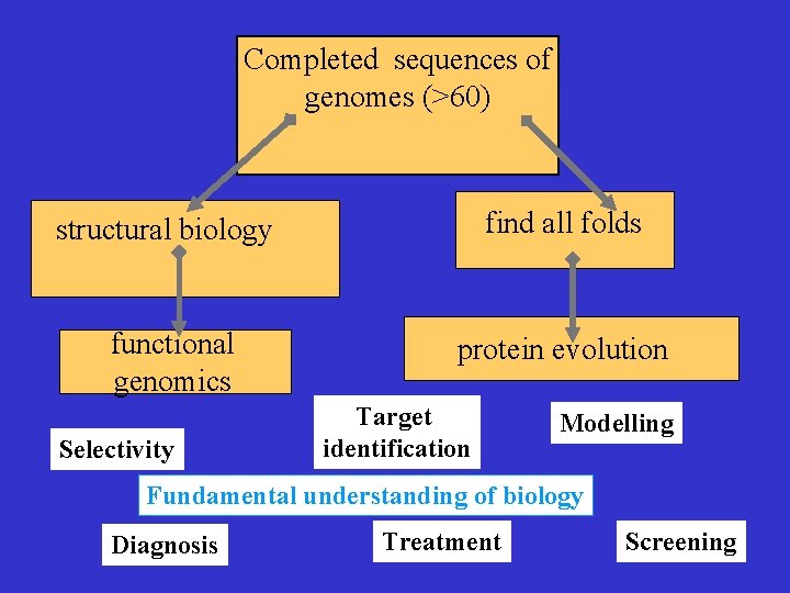 Completed sequences of genomes (>60) structural biology find all folds functional genomics protein evolution