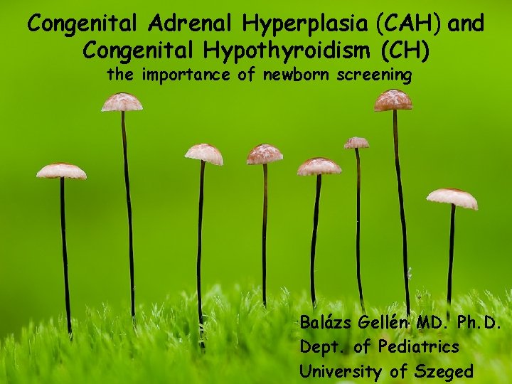 Congenital Adrenal Hyperplasia (CAH) and Congenital Hypothyroidism (CH) the importance of newborn screening Balázs Congenital Adrenal Hyperplasia (CAH) and Congenital Hypothyroidism (CH) the importance of newborn screening Balázs