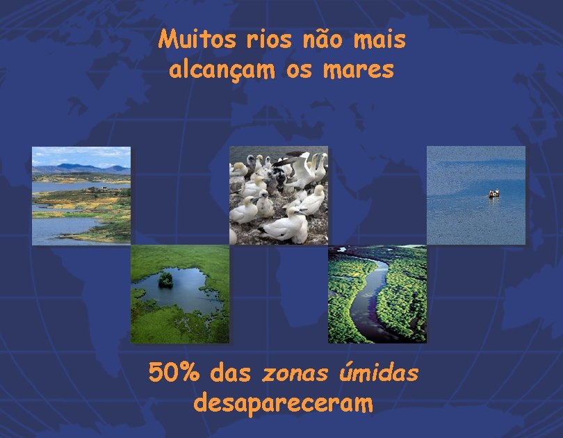 Muitos rios não mais alcançam os mares 50% das zonas úmidas desapareceram 