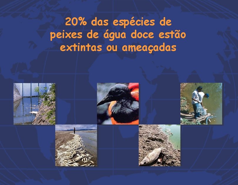 20% das espécies de peixes de água doce estão extintas ou ameaçadas 