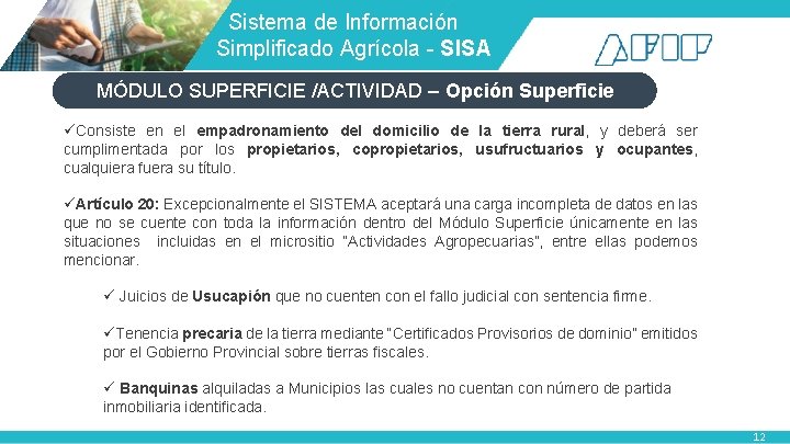  Sistema de Información Simplificado Agrícola - SISA MÓDULO SUPERFICIE /ACTIVIDAD – Opción Superficie