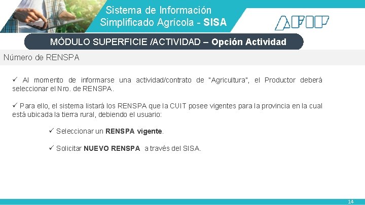 Sistema de Información Simplificado Agrícola - SISA MÓDULO SUPERFICIE /ACTIVIDAD – Opción Actividad Sistema de Información Simplificado Agrícola - SISA MÓDULO SUPERFICIE /ACTIVIDAD – Opción Actividad