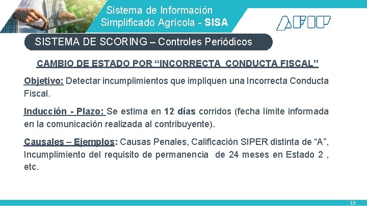 Sistema de Información Simplificado Agrícola - SISA SISTEMA DE SCORING – Controles Periódicos Sistema de Información Simplificado Agrícola - SISA SISTEMA DE SCORING – Controles Periódicos