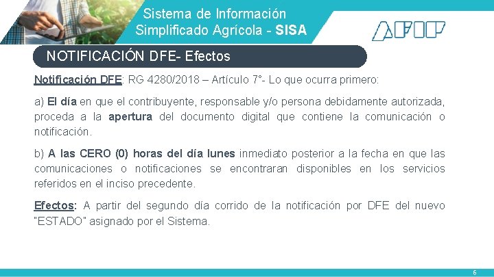  Sistema de Información Simplificado Agrícola - SISA NOTIFICACIÓN DFE- Efectos Notificación DFE: RG