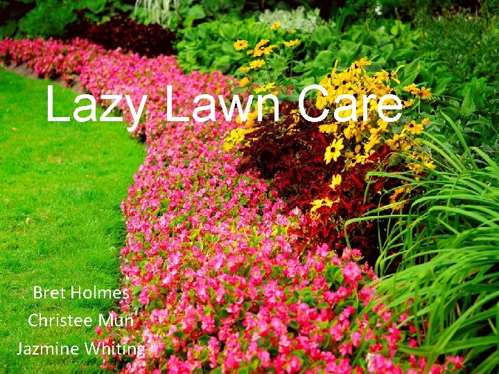 Lazy Lawn Care Bret Holmes Christee Mun Jazmine Whiting 