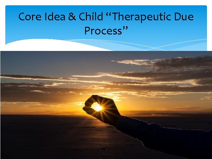 Core Idea & Child “Therapeutic Due Process” 11 