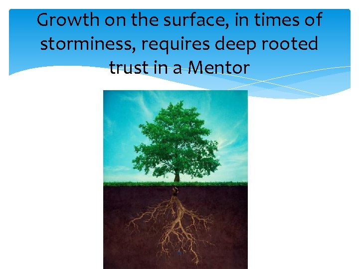 Growth on the surface, in times of storminess, requires deep rooted trust in a