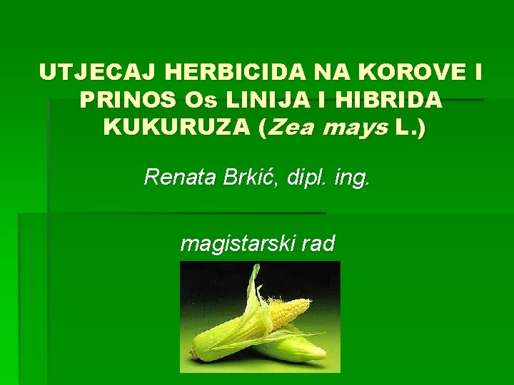 UTJECAJ HERBICIDA NA KOROVE I PRINOS Os LINIJA I HIBRIDA KUKURUZA (Zea mays L.