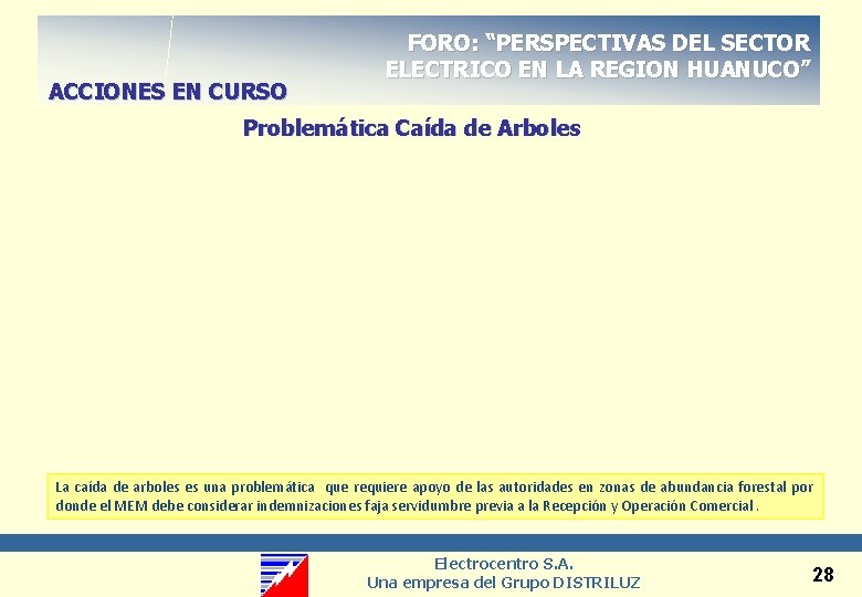 ACCIONES EN CURSO FORO: “PERSPECTIVAS DEL SECTOR ELECTRICO EN LA REGION HUANUCO” Problemática Caída