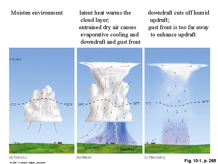 Moisten environment latent heat warms the cloud layer; entrained dry air causes evaporative cooling