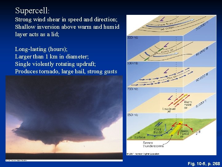Supercell: Strong wind shear in speed and direction; Shallow inversion above warm and humid