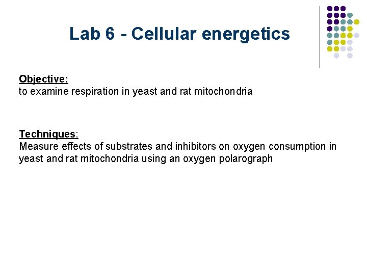 Lab 6 - Cellular energetics Objective: to examine respiration in yeast and rat mitochondria