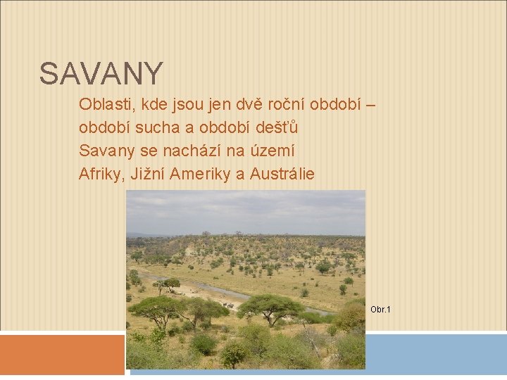 SAVANY Oblasti, kde jsou jen dvě roční období – období sucha a období dešťů