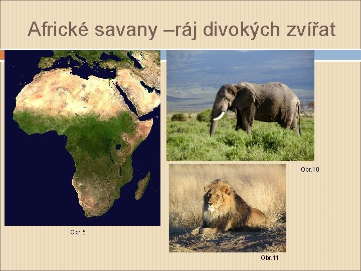 Africké savany –ráj divokých zvířat Obr. 10 Obr. 5 Obr. 11 