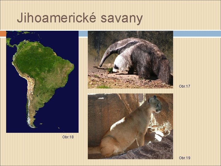 Jihoamerické savany Obr. 17 Obr. 18 Obr. 19 