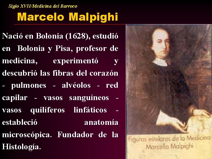Siglo XVII/Medicina del Barroco Marcelo Malpighi Nació en Bolonia (1628), estudió en Bolonia y
