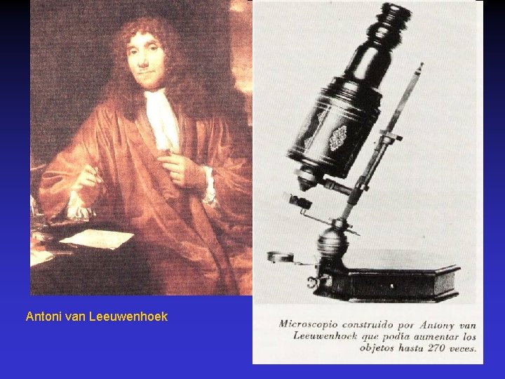 Antoni van Leeuwenhoek 