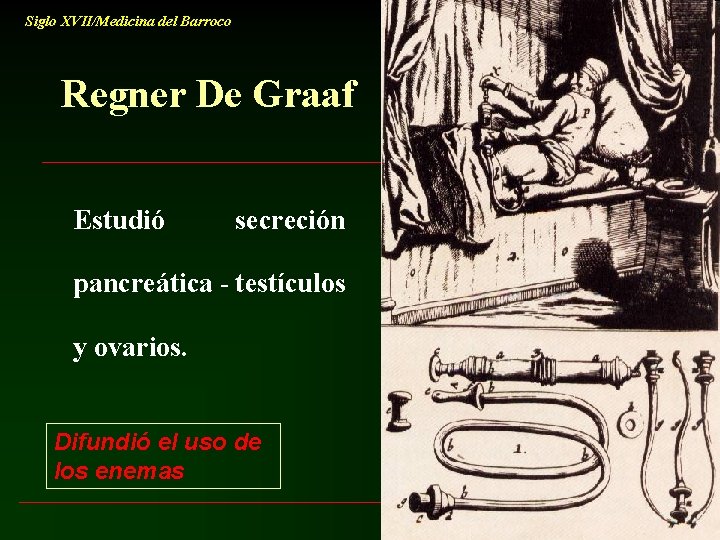 Siglo XVII/Medicina del Barroco Regner De Graaf Estudió secreción pancreática - testículos y ovarios.